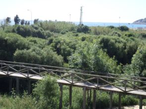 Alquiler de pisos en Algeciras, Cádiz: casas y pisos