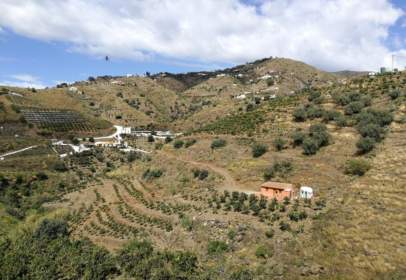 Alquiler de fincas rústicas en Málaga